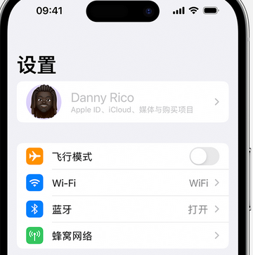 河池appleID维修服务iPhone设置中Apple ID显示为灰色无法使用 