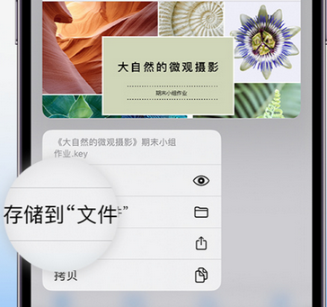 河池apple维修中心分享iPhone文件应用中存储和找到下载文件