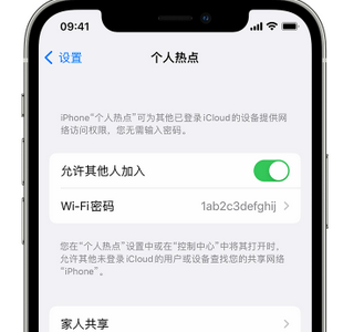 河池apple服务站点分享iPhone上个人热点丢失了怎么办 