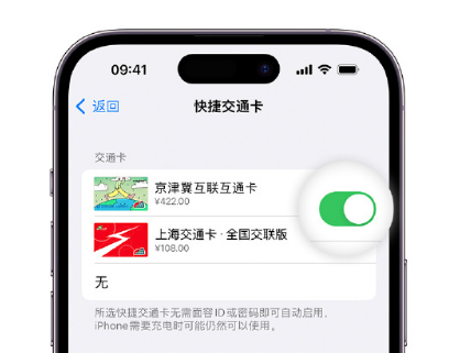 河池apple维修点分享iPhone上更换Apple Pay快捷交通卡手绘卡面 