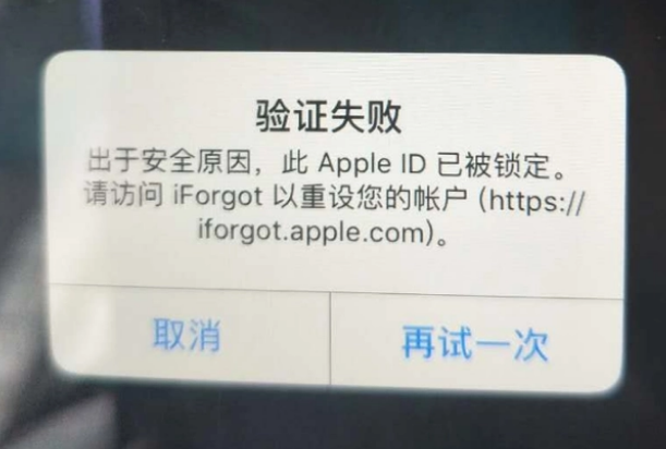 河池iPhone维修分享iPhone上正常登录或使用AppleID怎么办 