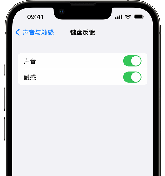 河池苹果14维修店分享如何在 iPhone 14 机型中使用触感键盘 