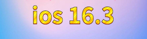 河池苹果服务网点分享苹果iOS16.3升级反馈汇总 