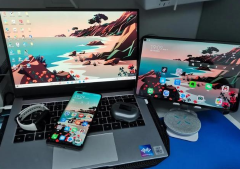 河池苹果手机维修分享为什么iPad屏幕更大价格却比iPhone低 