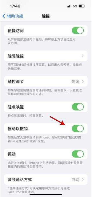 河池苹果手机维修分享iPhone手机如何设置摇一摇删除文字 