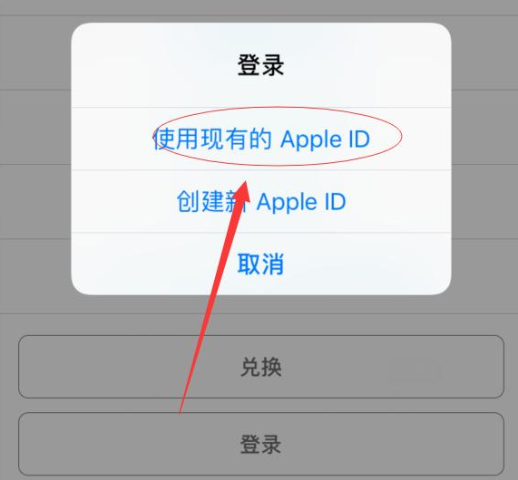 河池苹果手机维修分享两台iPhone设备可以同时登录一个Apple ID吗 