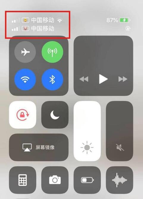 河池苹果手机维修分享为 iPhone 12 双卡设置标签 